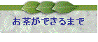 �������ł���܂�