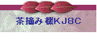 ���E�݋@�j�i�W�b