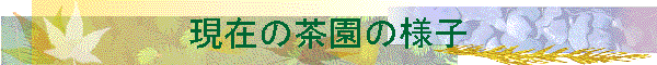 ���݂̒����̗l�q