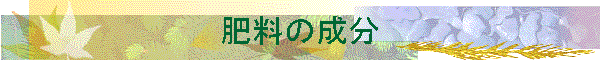 �엿�̐���