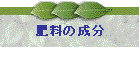 �엿�̐���