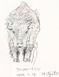 �A�����J�o�C�\��