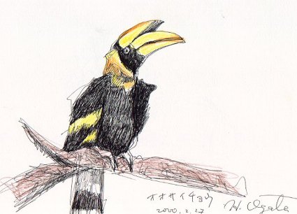 �I�I�T�C�`���E