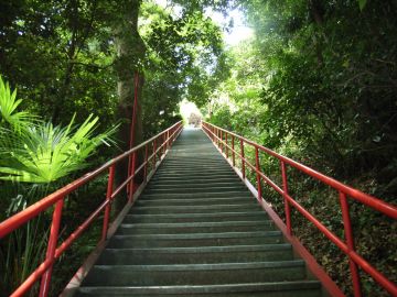 弥谷寺への階段