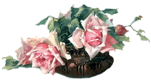 a picture of rose3
