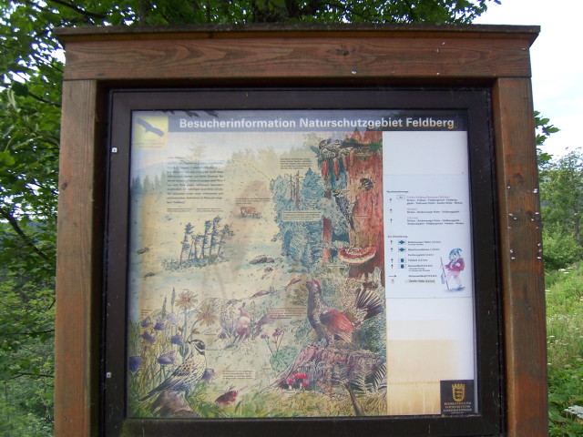img0016.jpg