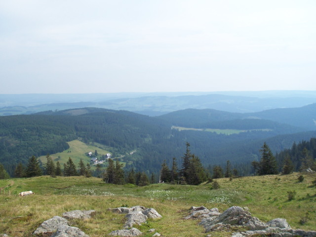 img0018.jpg