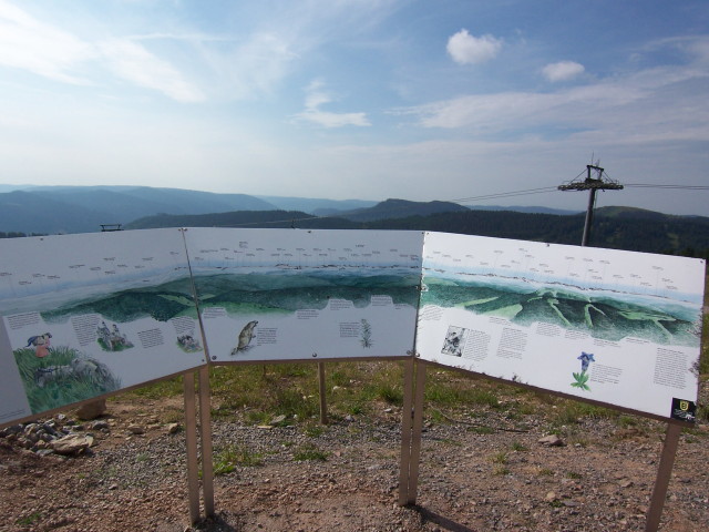 img0019.jpg