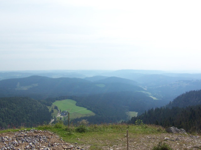 img0020.jpg