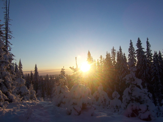 img0004.jpg
