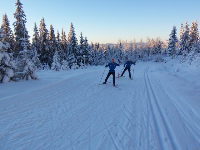 img0005.jpg