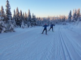 img0005.jpg