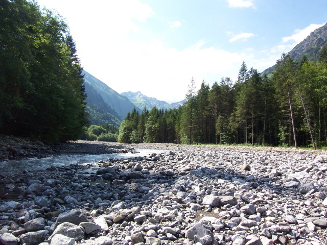 img0006.jpg