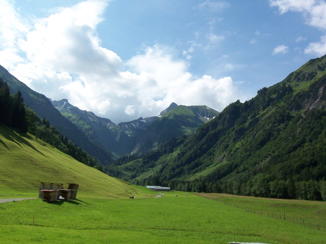 img0007.jpg