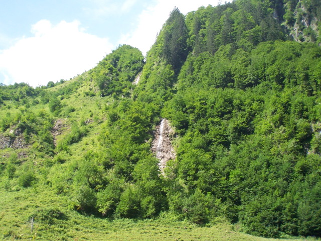 img0009.jpg