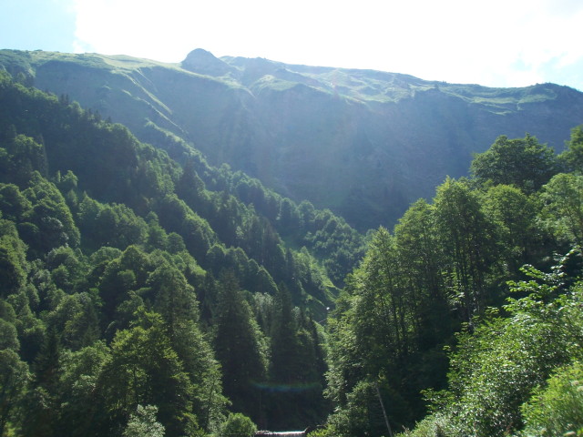 img0010.jpg