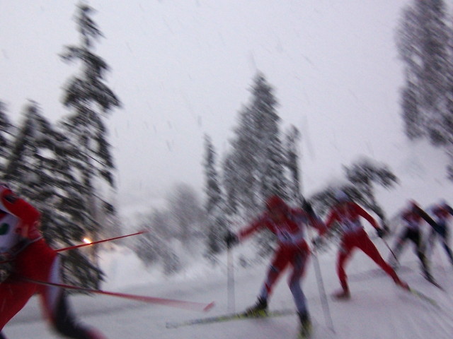 img0009.jpg