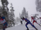 img0010.jpg