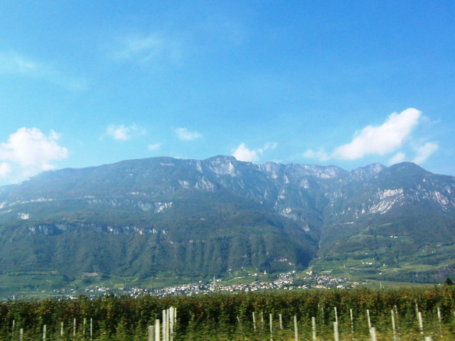img0008.jpg