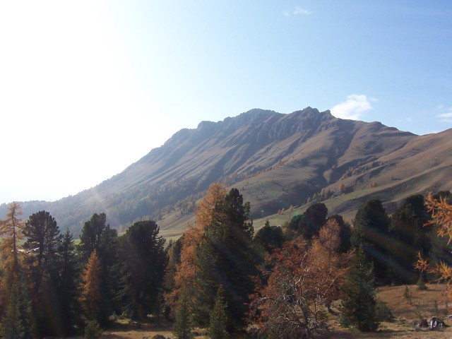 img0037.jpg