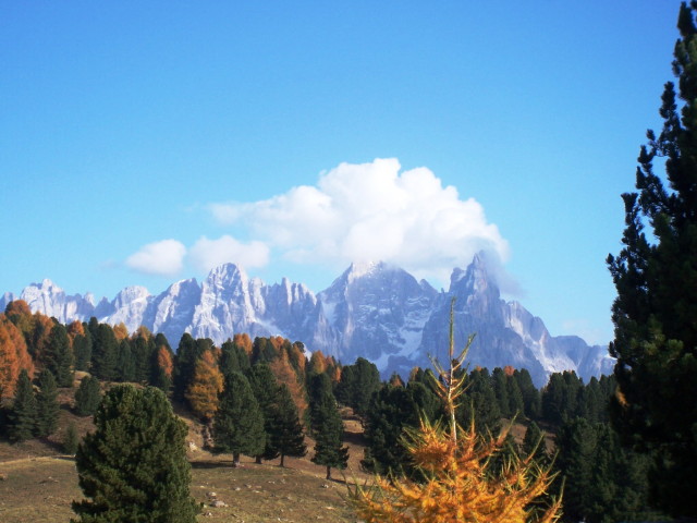img0040.jpg