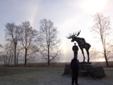 img0020.jpg