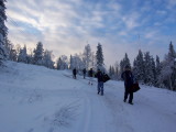 img0029.jpg