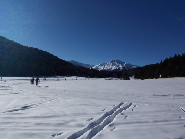 img0020.jpg