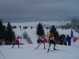 img0015.jpg