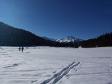 img0020.jpg