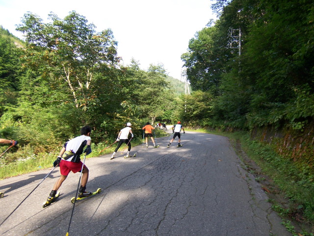 img0010.jpg