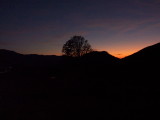 img0013.jpg