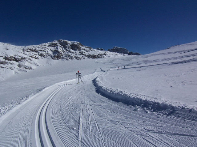 img0007.jpg