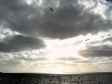 cloude