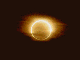 annular3