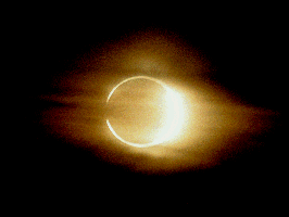annular4