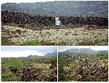 thingvellir3