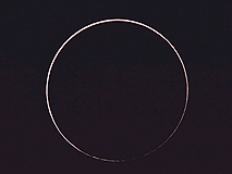 annular1