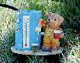 thermometer1