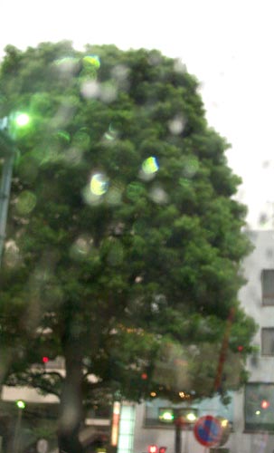 学生街の雨3b　撮影　北爪満喜