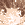 8KBFɂ