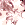 27KBFVg