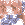 74KBFsvc̍̂