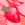 33KBFStrawberry girl