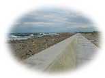 DSC00926as.jpg (2293 �o�C�g)
