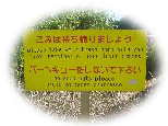 DSC01145as.jpg (4172 �o�C�g)