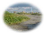 DSC01188as.jpg (3114 �o�C�g)