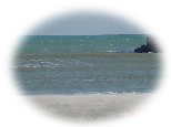 DSC01194as.jpg (2011 �o�C�g)