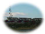DSC01223as.jpg (2480 �o�C�g)