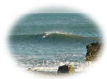 DSC01248as.jpg (2741 �o�C�g)